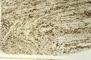 Plane Polarized, S86525