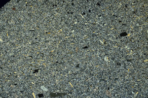 Cross Polarized, S86527