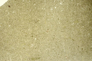Plane Polarized, S86527