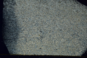 Cross Polarized, S86528