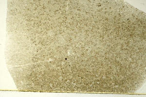 Plane Polarized, S86528