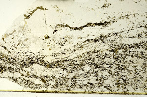 Plane Polarized, S86530