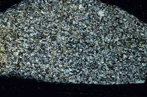 Cross Polarized, S86531