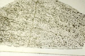 Plane Polarized, S86531