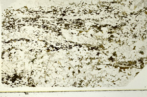 Plane Polarized, S86532