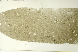 Plane Polarized, S86533