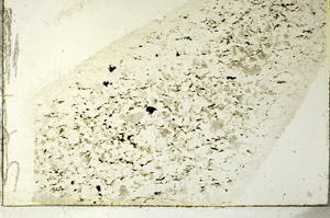 Plane Polarized, S86567
