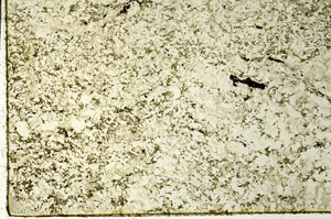 Plane Polarized, S86569