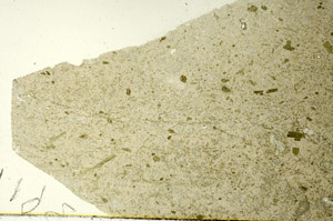 Plane Polarized, S86574