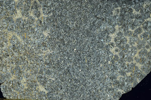 Cross Polarized, S86575