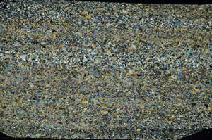 Cross Polarized, S86576