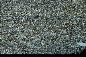 Cross Polarized, S86582