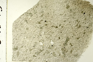 Plane Polarized, S86585