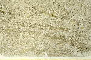 Plane Polarized, S86587