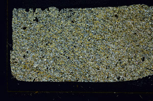 Cross Polarized, S86588