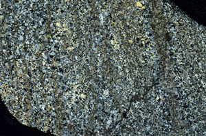 Cross Polarized, S86589