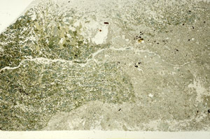 Plane Polarized, S86591
