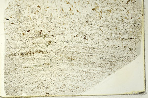 Plane Polarized, S86592