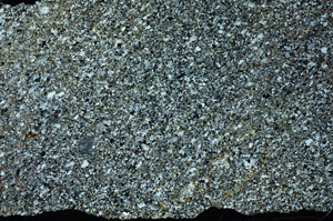 Cross Polarized, S86593