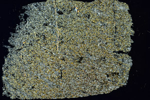 Cross Polarized, S86594