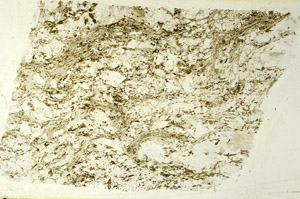 Plane Polarized, S86597