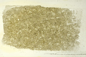 Plane Polarized, S86598
