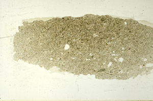 Plane Polarized, S86599