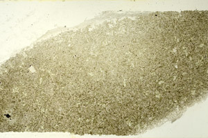 Plane Polarized, S86607