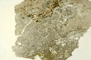 Plane Polarized, S86608