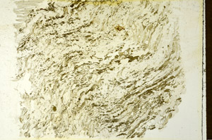 Plane Polarized, S86609