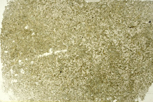 Plane Polarized, S86613