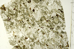 Plane Polarized, S86678
