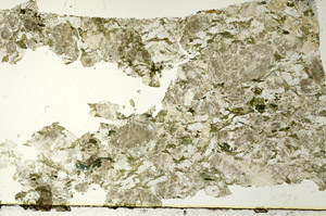 Plane Polarized, S86682
