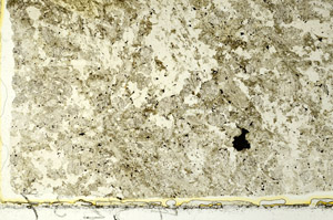 Plane Polarized, S86684