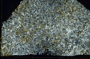 Cross Polarized, S86690