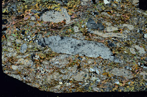 Cross Polarized, S86696