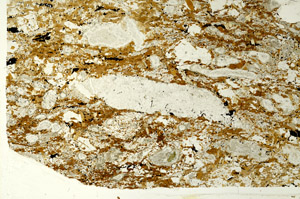 Plane Polarized, S86696