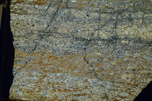 Cross Polarized, S86701