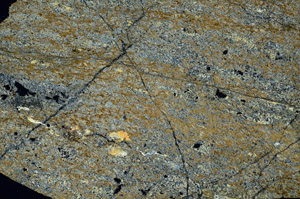 Cross Polarized, S86702