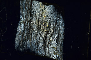 Cross Polarized, S86713