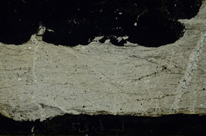 Cross Polarized, S86715