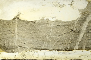 Plane Polarized, S86715