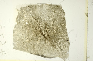 Plane Polarized, S86718