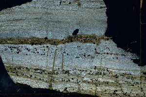 Cross Polarized, S86721