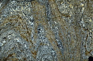 Cross Polarized, S86722