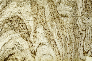 Plane Polarized, S86722