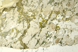 Plane Polarized, S86723
