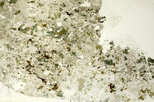 Plane Polarized, S86726