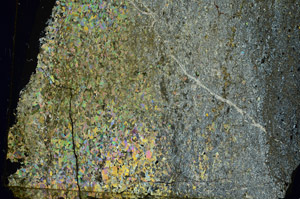 Cross Polarized, S86730