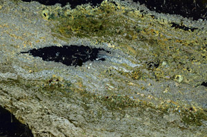 Cross Polarized, S86731